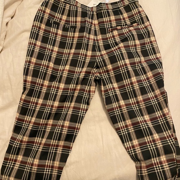 Plaid Dress Plants - Picture 2 of 4